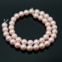 Round Shell Pearl Bead 10mm, color pink
