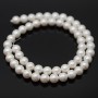 Textured Shell Pearl Beads round 8mm, white color