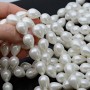 Shell Pearl Beads Drop ~12:16mm white color