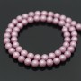 Tira de 65 cuentas de perla de concha 6mm satén mate, color flamenco rosado