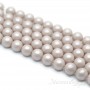 Mallorca pearls 10mm antique pink matte satin, full strand(40 beads)