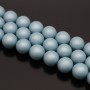 Tira de 40 cuentas de perla de concha 10mm satén mate, color Cadet Blue