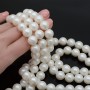 Tira de 34 cuentas de perla de concha 12mm satén mate, color blanco
