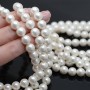 Pearl Mallorca white 10mm matte satin, full strand (40 beads)