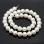 Tira de 40 cuentas de perla de concha 10mm satén mate, color blanco