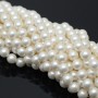 Perlas de concha 6mm satén mate, color blanco