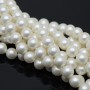 Perlas de concha 8mm satén mate, color blanco