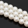 Round Shell Pearl beads 12mm frosted, color white
