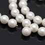 Round Shell Pearl beads 10mm frosted, color white