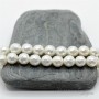 Cuentas de perla de concha facetadas 8mm 1 und., color blanco