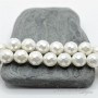 Cuentas de perla de concha facetadas 10mm 1 und., color blanco