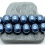 Cuentas de perla de concha 13:15mm "Azul real",  ovaladas
