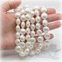 Tira de 28 cuentas de perla de concha 14:8mm disco, color blanco